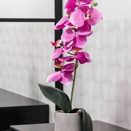 Clicktheflat Constitution Square * ורשה