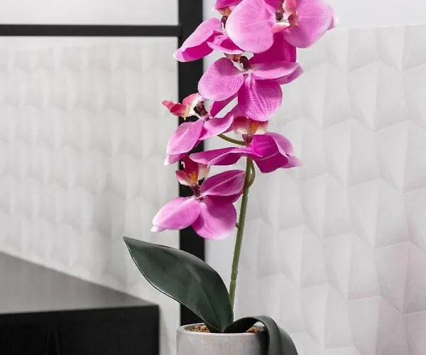 Clicktheflat Constitution Square * Varsovie